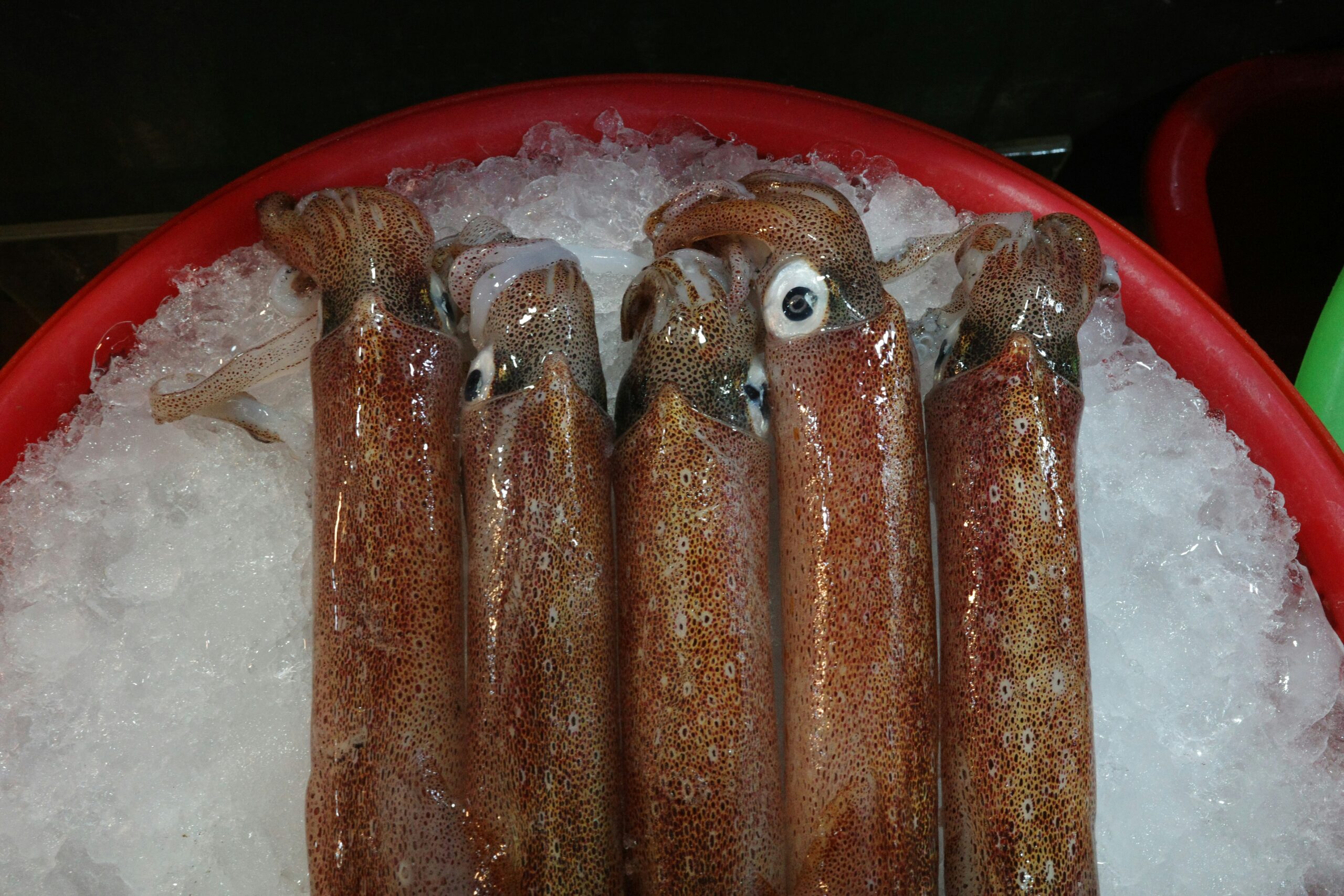Exploring the Delicacies of Calamariere: A Culinary Journey
