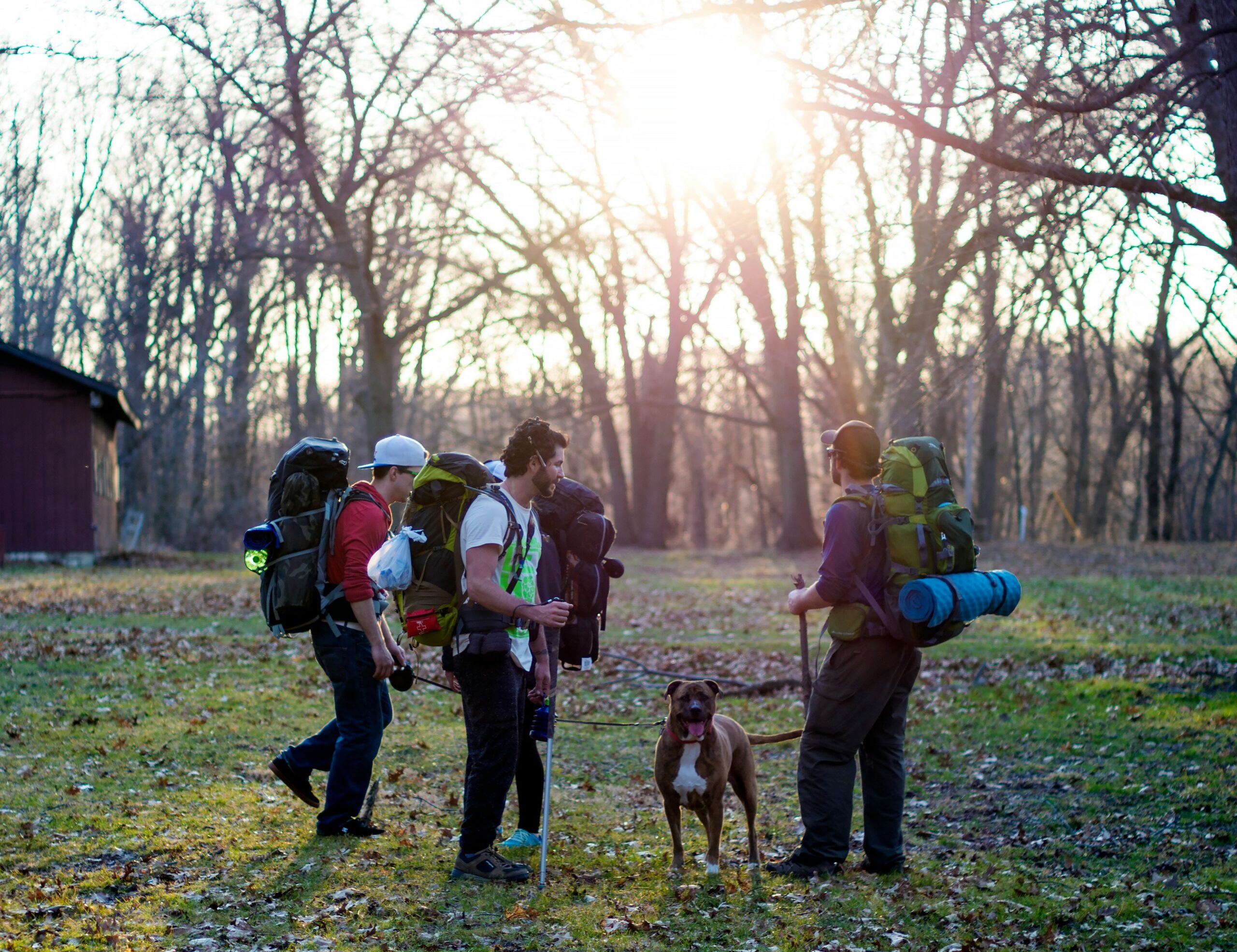 Outdoor Adventures in Pabington: Hiking, Biking, and More!