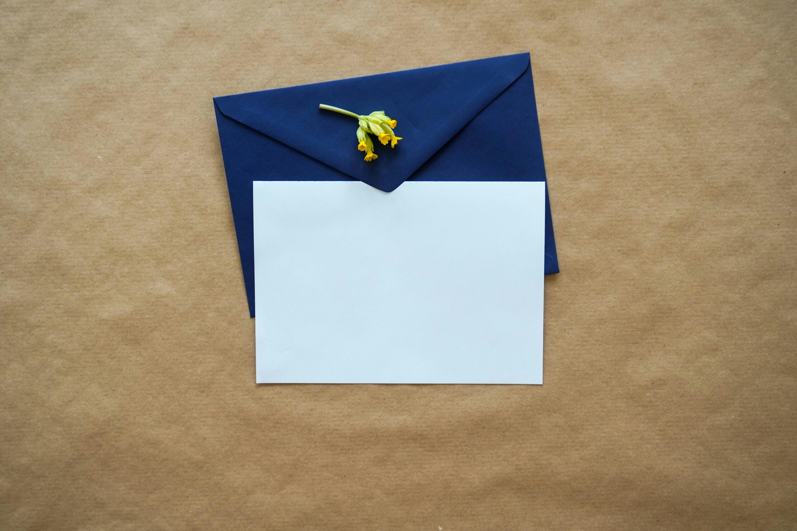 Demainmail: The Future of Private Email