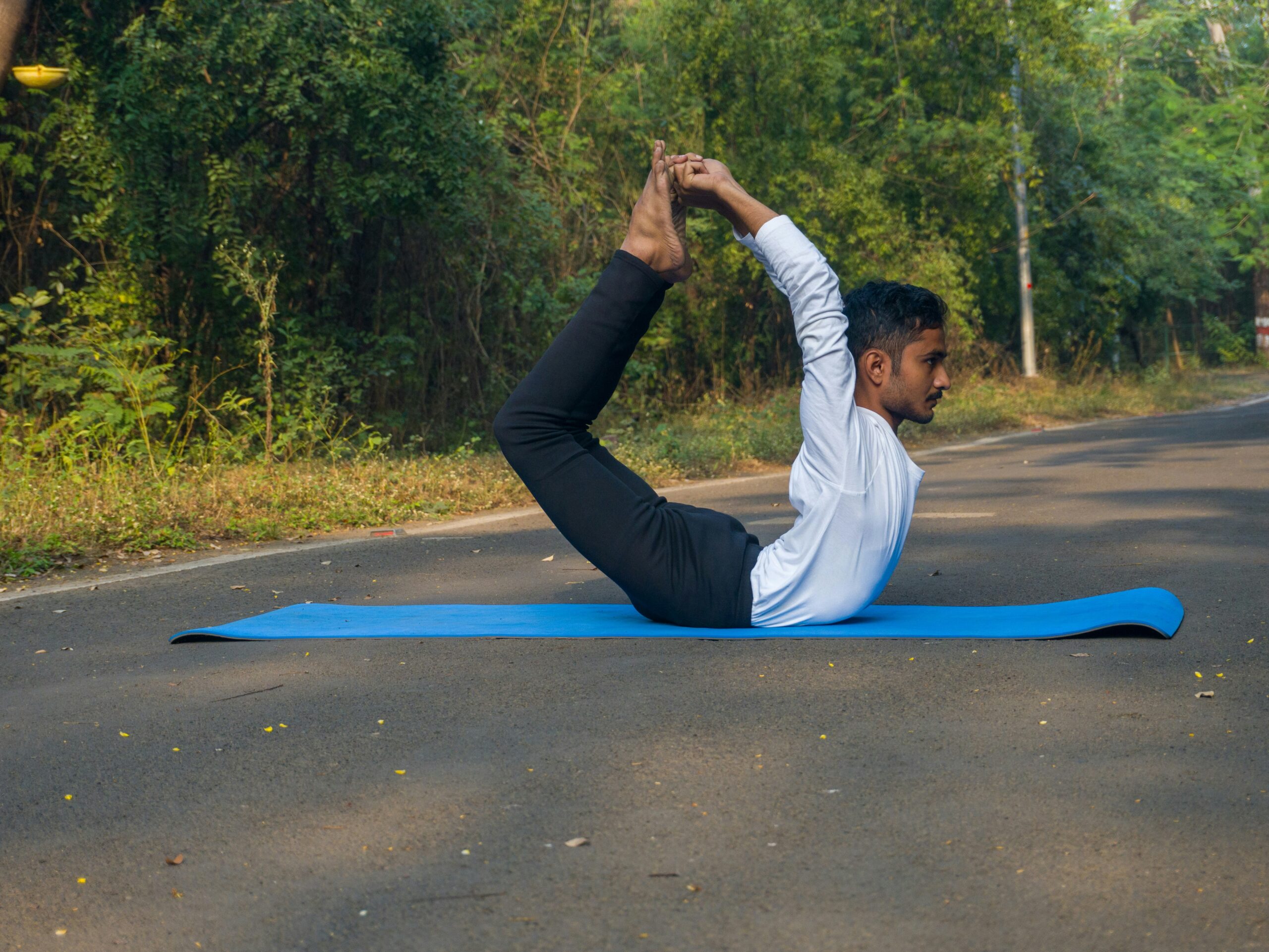 Health ThreeTrees Com VN: Your Guide to Daily Wellness and Balance