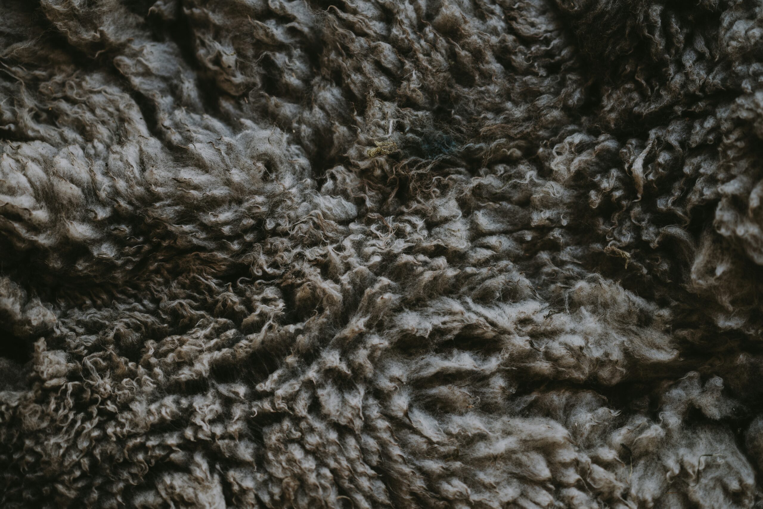 Wollmatten: Sustainable Wool Mats for Eco-Friendly Living